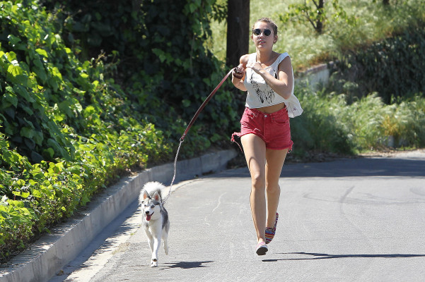 Miley Cyrus pic #476511