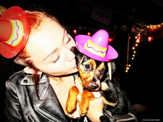 Miley Cyrus pic #509225