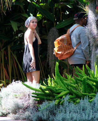 Miley Cyrus pic #624308