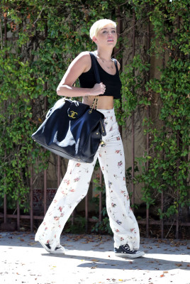 Miley Cyrus pic #559670