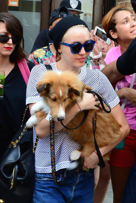 Miley Cyrus pic #754160