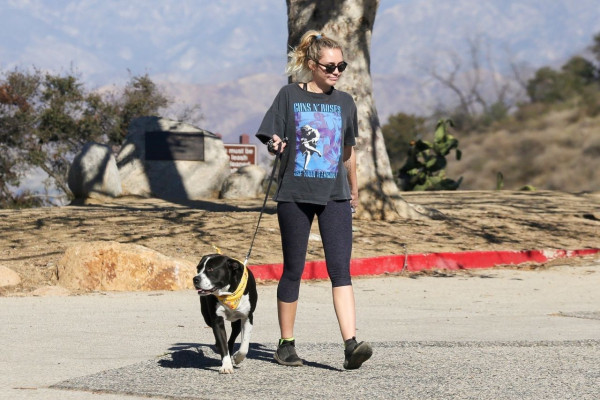 Miley Cyrus Hike With Her Dog, Mary Jane in Studio City