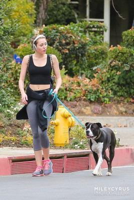 Miley Cyrus pic #690938