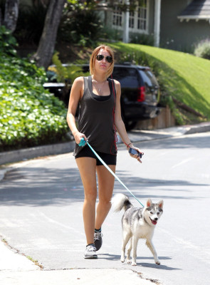 Miley Cyrus pic #507243
