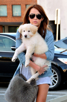 Miley Cyrus pic #241391
