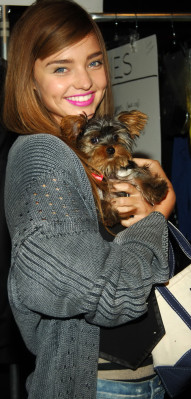 Miranda Kerr pic #210295