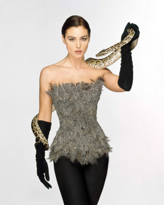 Monica Bellucci by Fiorenzo Niccoli
