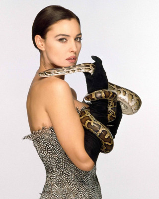 Monica Bellucci by Fiorenzo Niccoli