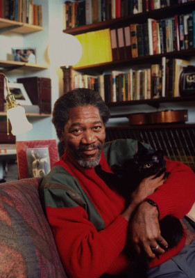 Morgan Freeman pic #203148