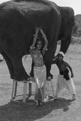 Naomi Campbell pic #696689