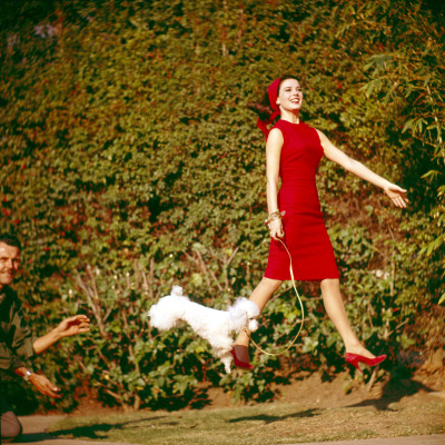 photo 29 in Natalie Wood gallery [id373801] 2011-03-21 00:00:00