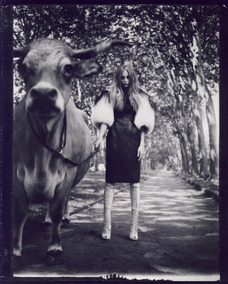 Natasha Poly pic #291026