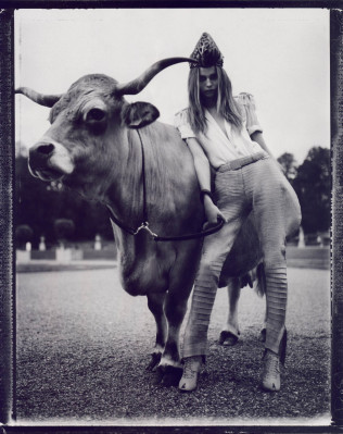 Natasha Poly pic #291032