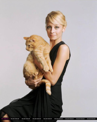 photo 17 in Nicole gallery [id137657] 2009-03-02 00:00:00