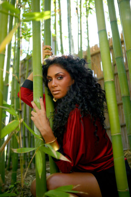 Nicole Scherzinger pic #320329