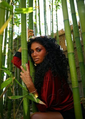 Nicole Scherzinger pic #146814