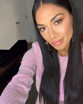 Nicole Scherzinger pic #1253893