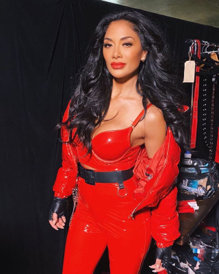 Nicole Scherzinger pic #1251421