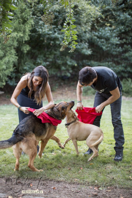 Nikki Reed pic #953780