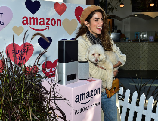 Nikki Reed-Amazon&#039;s Valentine