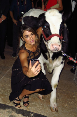 Nikki Reed pic #757297