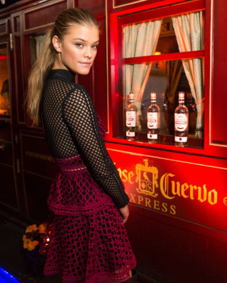 Nina Agdal pic #921328
