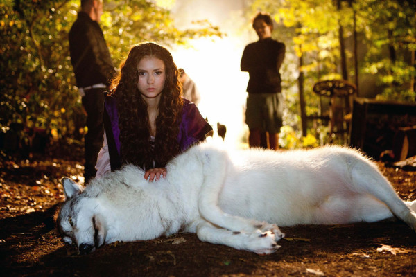 photo 23 in Nina Dobrev gallery [id509130] 2012-05-10 00:00:00
