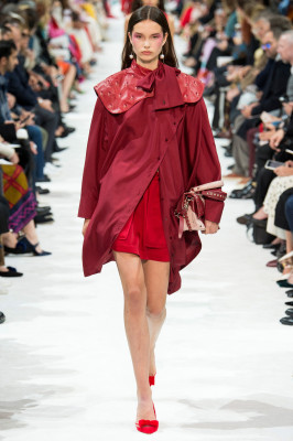 Nortje Haak - Valentino Spring/Summer 2019 Fashion Show in Paris