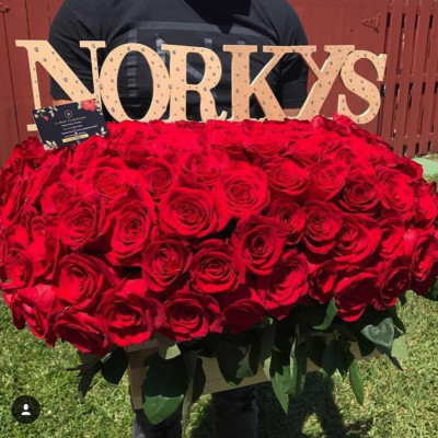 Norkys Batista pic #997695
