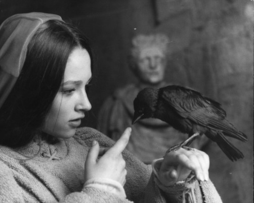 Olivia Hussey pic #393665