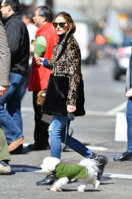 Olivia Palermo pic #832399