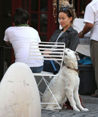 Olivia Wilde pic #559356