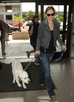 Olivia Wilde pic #551978
