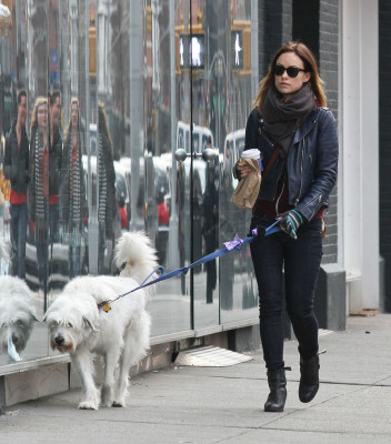 Olivia Wilde pic #615229