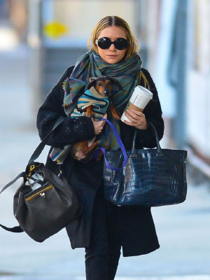 Olsen Twins pic #604897