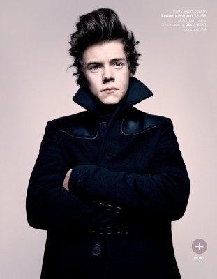 photo 12 in One Direction gallery [id681032] 2013-11-29 00:00:00