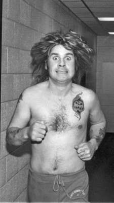 photo 12 in Ozzy gallery [id1272523] 2020-08-31 00:00:00