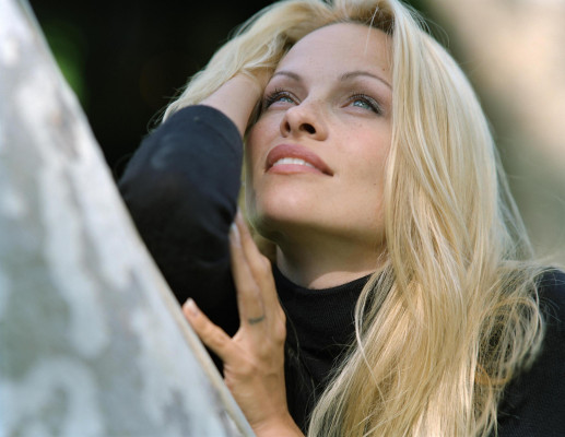 Pamela Anderson pic #102800