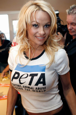 photo 4 in Pamela Anderson gallery [id607265] 2013-02-20 00:00:00