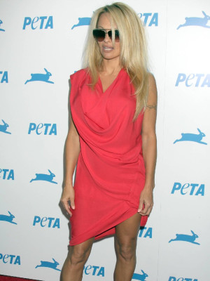 Pamela Anderson pic #300241