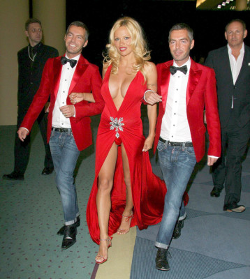 Pamela Anderson pic #769332