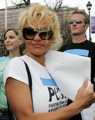 Pamela Anderson pic #765301