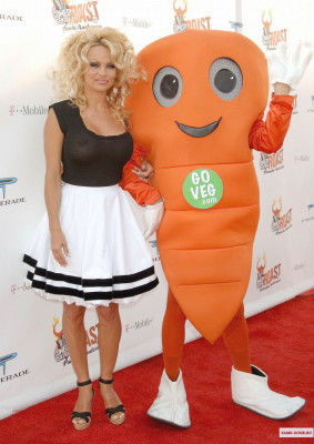 Pamela Anderson pic #727266