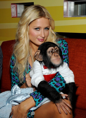 Paris Hilton pic #235528