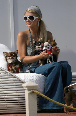 Paris Hilton pic #258179