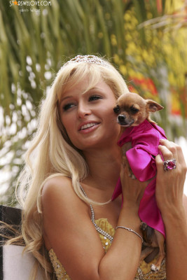 Paris Hilton pic #127497