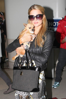 Paris Hilton pic #705668
