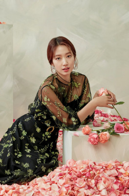 Park Shin Hye