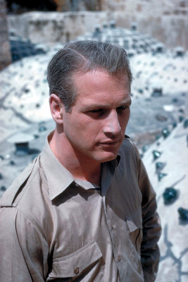 Paul Newman pic #249921