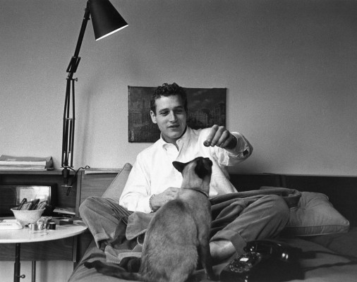 photo 4 in Paul Newman gallery [id363988] 2011-02-25 00:00:00